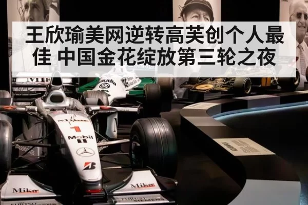 王欣瑜美网逆转高芙创个人最佳 中国金花绽放第三轮之夜
