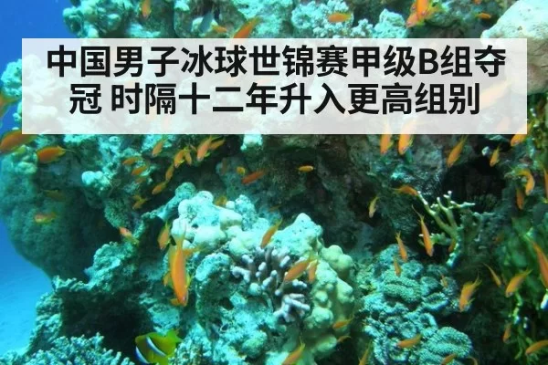中国男子冰球世锦赛甲级B组夺冠 时隔十二年升入更高组别